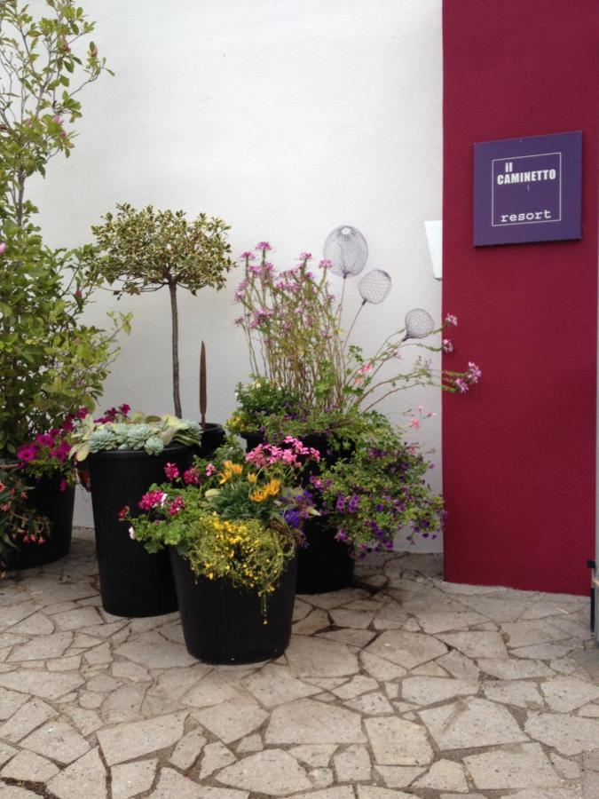 Il Caminetto Montefiascone Hotel Buitenkant foto